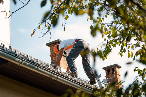 Best Roofing Contractor Near Me  in Whitmore Lake, MI