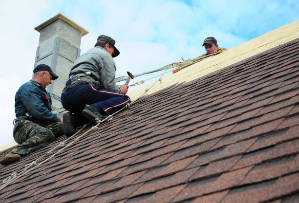 Whitmore Lake, MI Roofing Contractor Company